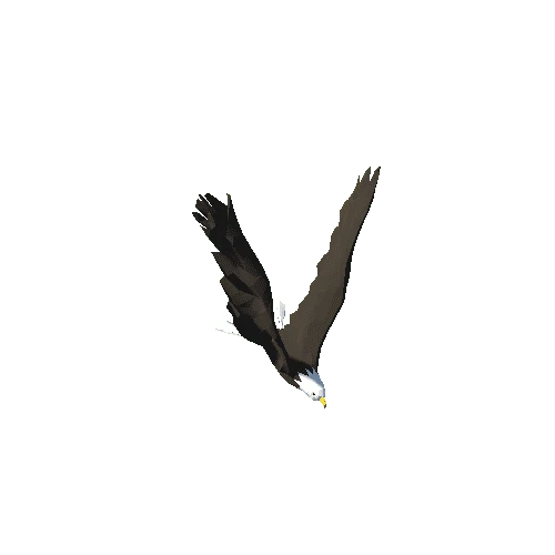 Low Poly Bald Eagle